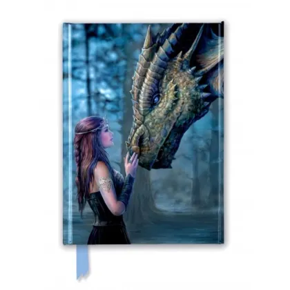 Zdjęcie Dziennik (Anne Stokes: Dawno, dawno temu) - Flame Tree Publishing