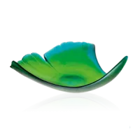 Picture Beautiful green plant bowl – Daum brand