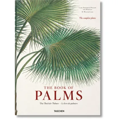 Zdjęcie Książka von Martius. Księga Palm - Taschen