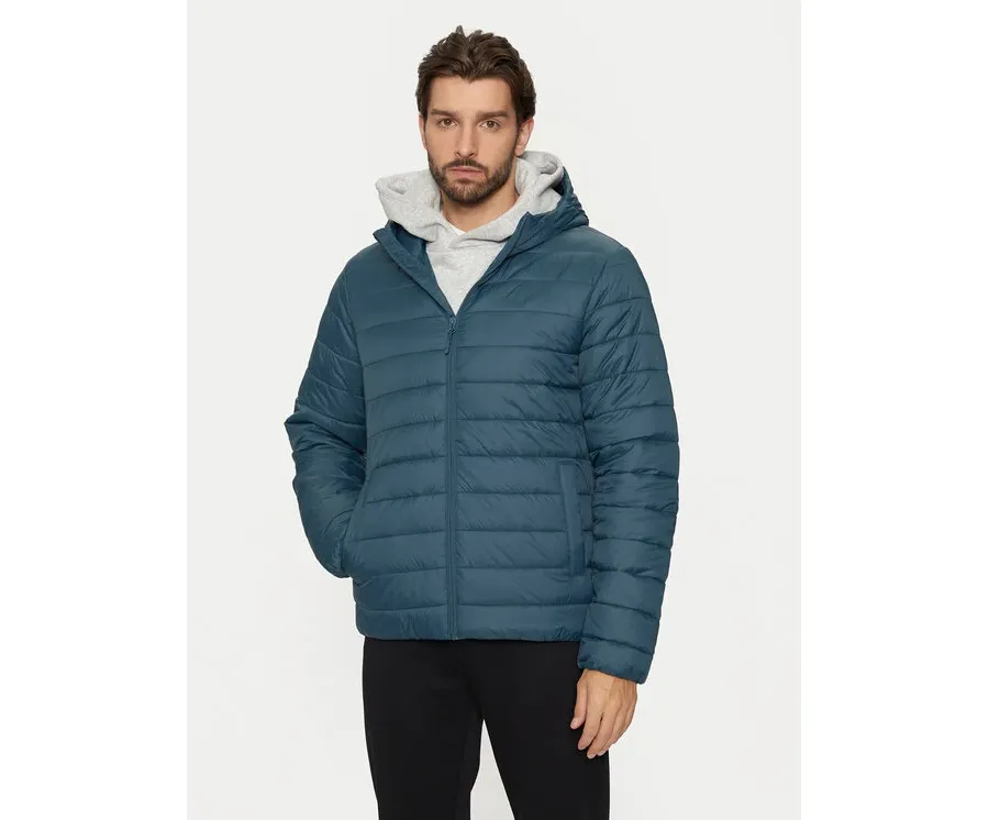 obrazek 1 4F Kurtka zimowa 4FWAW24TDJAM484 Niebieski Regular Fit