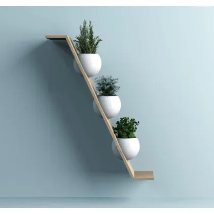 Zdjęcie Ścienna półka z doniczkami jako dekoracja domowa