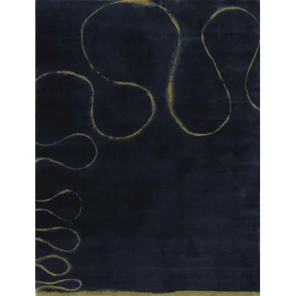 Picture Beautiful navy carpet – Fort Street Studio