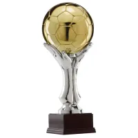 Zdjęcie Puchar - złota piłka nożna w dłoniach