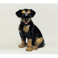 Picture Rottweiler figurine - Il Gattopardo