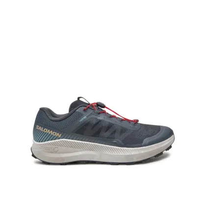Zdjęcie Salomon Buty do biegania Vision L47528400 Niebieski