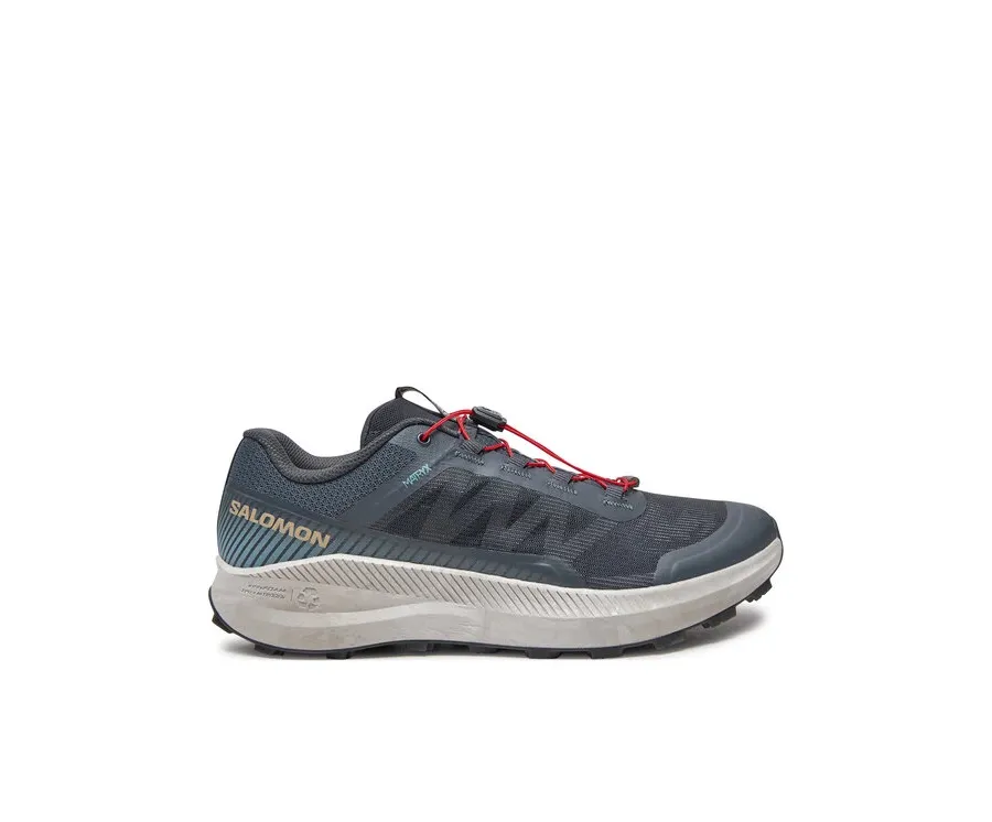 obrazek 1 Salomon Buty do biegania Vision L47528400 Niebieski