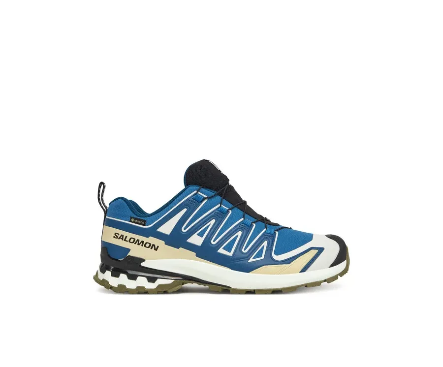 obrazek 1 Salomon Buty do biegania Xa Pro 3D V9 Gore-Tex L47817400 Niebieski