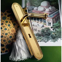 Picture Italian Byblos door handle with a long door plate