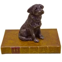 Picture Paperweight with a dog