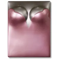 Picture Naomi Campbell's book - Taschen