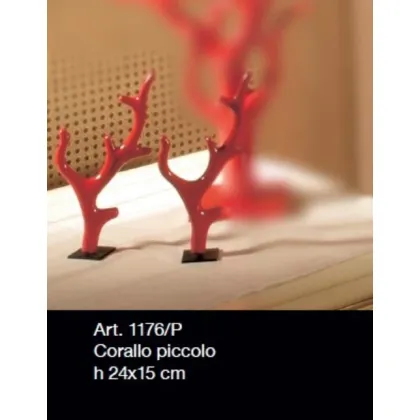 Zdjęcie Piękny mały ozdobny koral - Il Paralume Marina