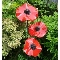 Picture A unique set of three poppies - an original anniversary gift