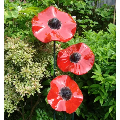 Zdjęcie Wyjątkowy zestaw trzech maków - oryginalny prezent na rocznicę