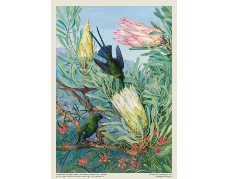 obrazek 3 Puzzle dla dorosłych Marianne North z Kew Gardens: Miodowe kwiaty i wiciokrzewy - Flame Tree Publishing