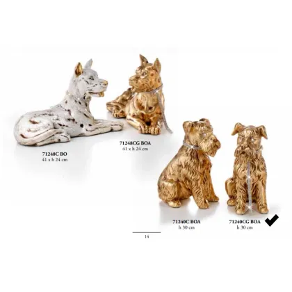 Picture Schnauzer with collar and leash - Valle d'oro Patchi