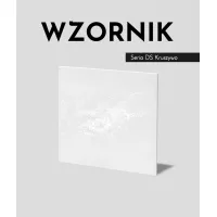 Zdjęcie Wzornik DS - (biały, srebrne kruszywo, średnia porowatość) - beton architektoniczny