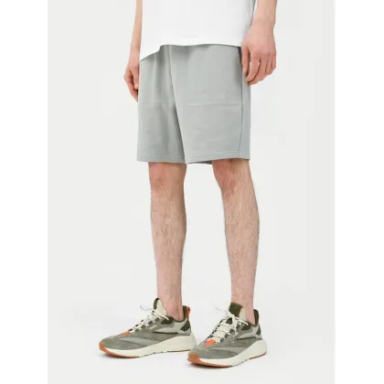 Zdjęcie 4F Szorty sportowe 4FWSS24TSHOM330 Szary Regular Fit