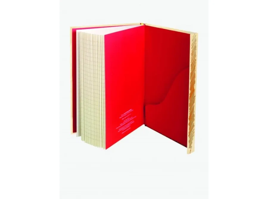 obrazek 2 Dziennik (Egon Schiele: Siedząca kobieta) - Flame Tree Publishing