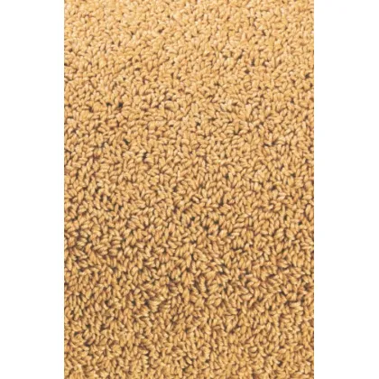 Picture Beautiful yellow smooth loop carpet - TWINSET UNI LOOP PILE 21403