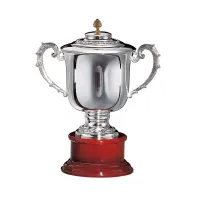 Zdjęcie Ekskluzywne trofeum sportowe w postaci srebrnego pucharu