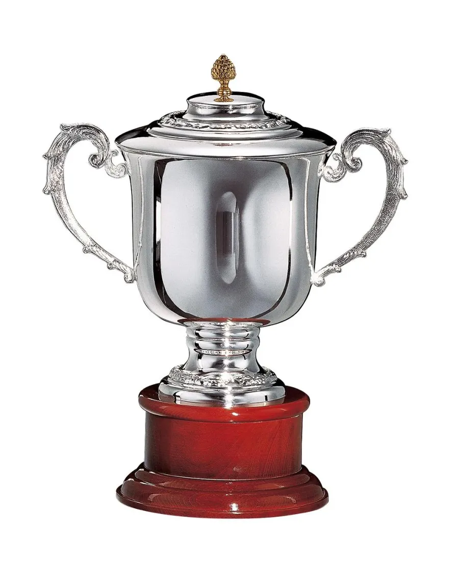 obrazek 1 Ekskluzywne trofeum sportowe w postaci srebrnego pucharu
