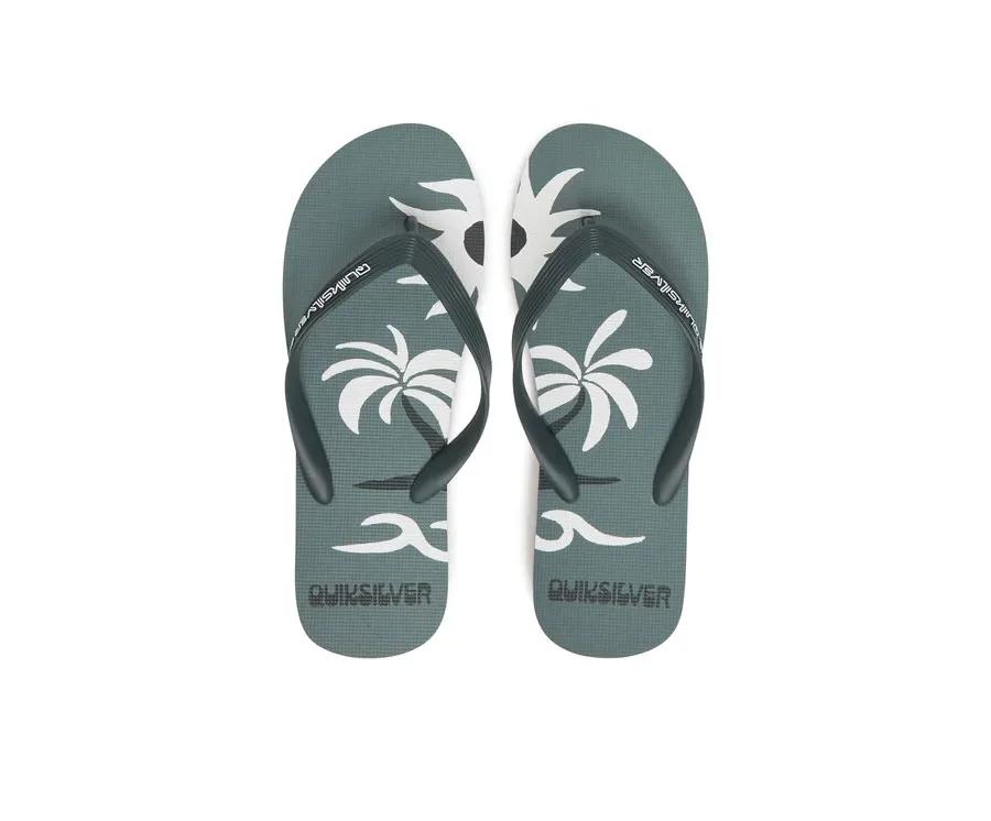 obrazek 1 Quiksilver Japonki Molokai Screen AQYL101427 Zielony