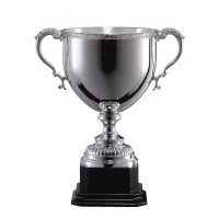 Picture A beautiful sports cup for taking the podium - an Italian product