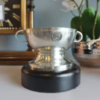 Zdjęcie Miniaturowy irlandzki kielich Sam Maguire