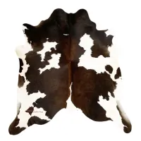 Picture Luxurious cowhide rug for inspiring homes
