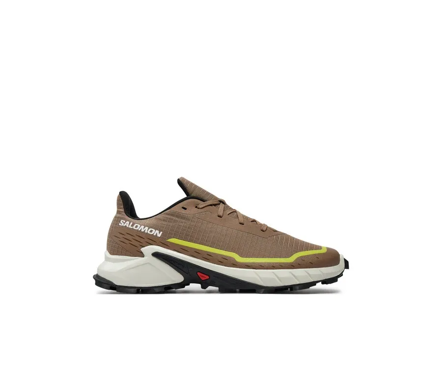 obrazek 1 Salomon Buty do biegania Alphacross 5 L47460100 Beżowy