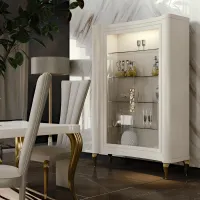 Picture Stylish free-standing 2-door showcase for the living room or office