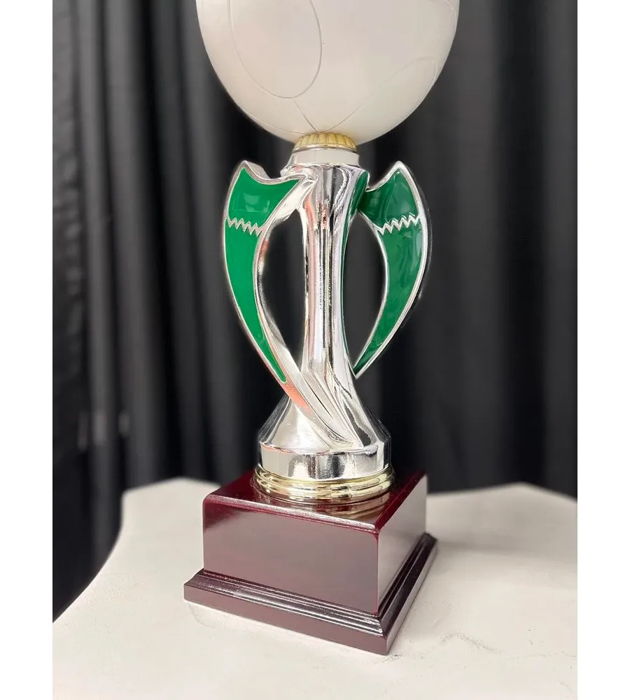 obrazek 2 Puchar z piłką do siatkówki