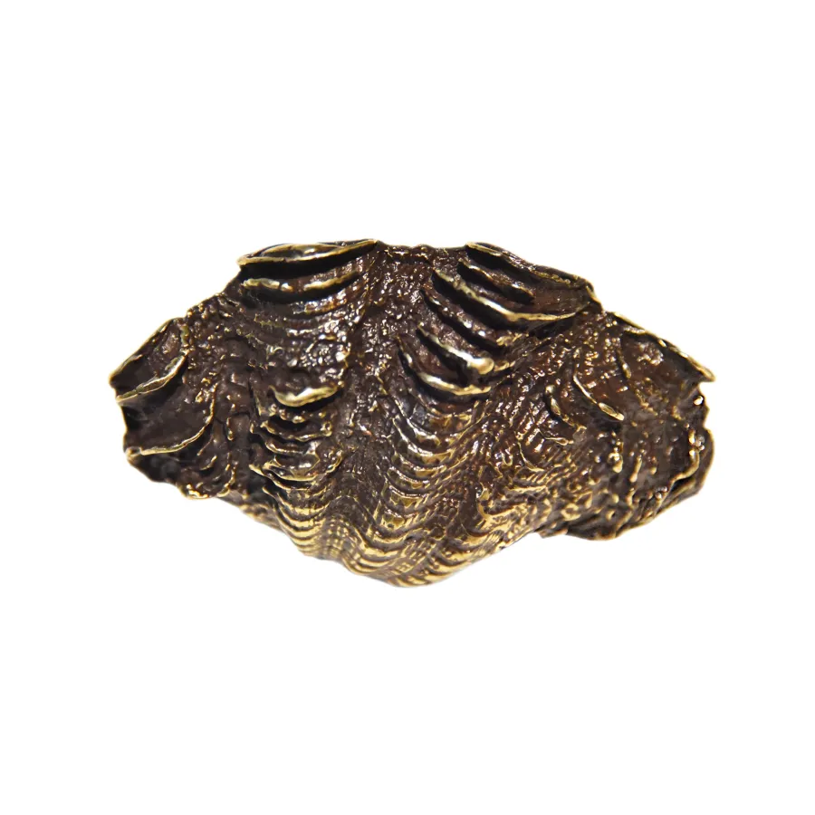 obrazek 2 Uchwyt muszlowy z odlewu metalowego H.5xL.8xP.1 cm