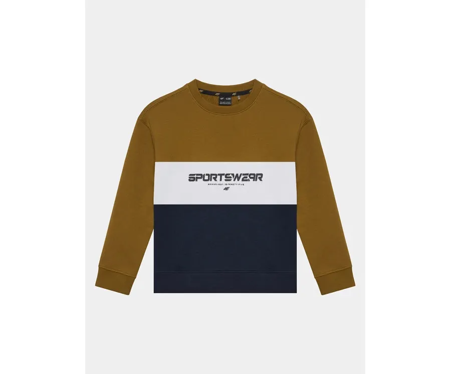 obrazek 1 4F Bluza 4FJAW23TSWSM630 Brązowy Regular Fit