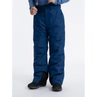Zdjęcie 4F Spodnie narciarskie 4FJAW23TFTRM358 Granatowy Regular Fit