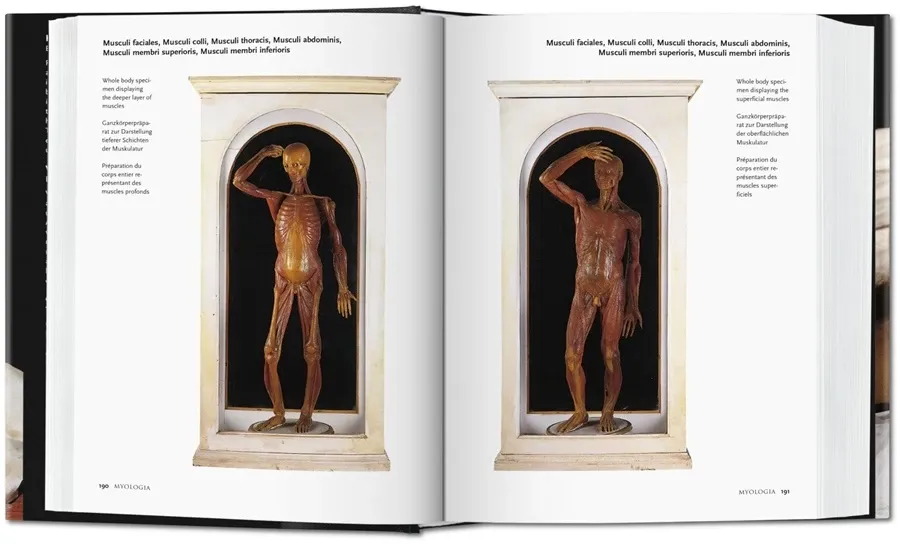 obrazek 4 Książka Encyclopaedia Anatomica - Taschen