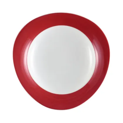 Zdjęcie Porcelanowy talerz głęboki do zupy 23,5 cm z Niemiec - Seltmann Weiden