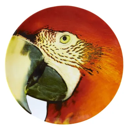 Zdjęcie Talerz-półmisek Olhar o Brasil z przedstawieniem czerwonej ary - Vista Alegre