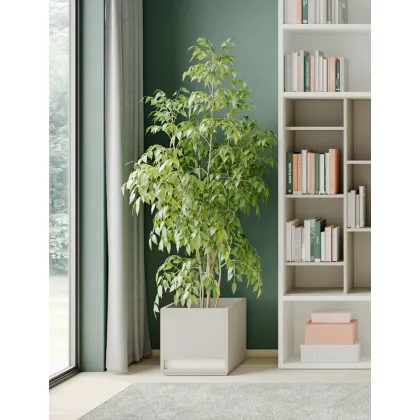Picture A fantastic flower pot for beautiful interiors - Prof