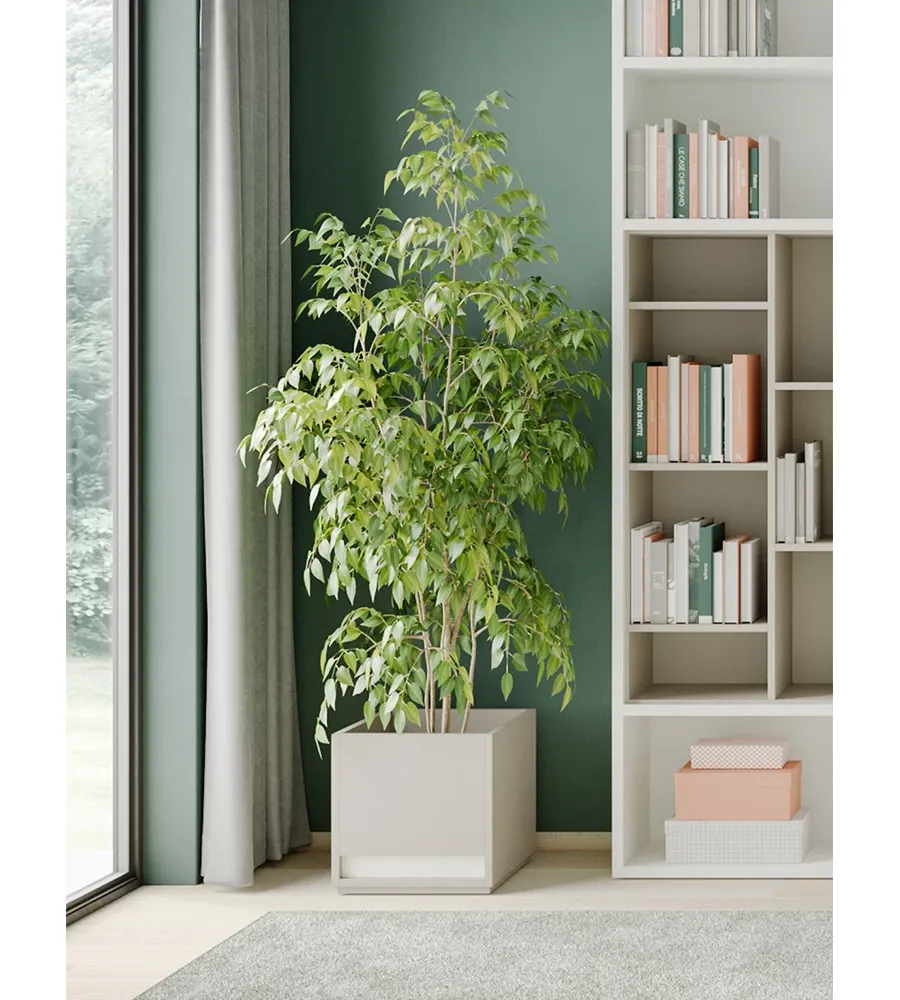 obrazek 1 Rewelacyjna donica do pięknych wnętrz - Prof