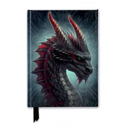 Zdjęcie Dziennik (Kerem Beyit: Zaciekły smok) - Flame Tree Publishing