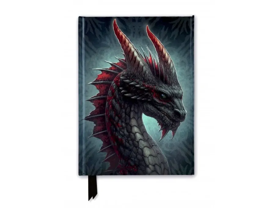 obrazek 1 Dziennik (Kerem Beyit: Zaciekły smok) - Flame Tree Publishing