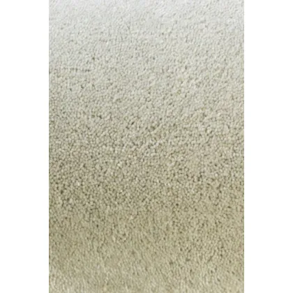 Picture Elegant silver smooth carpet - TWINSET UNI CUT PILE 21504