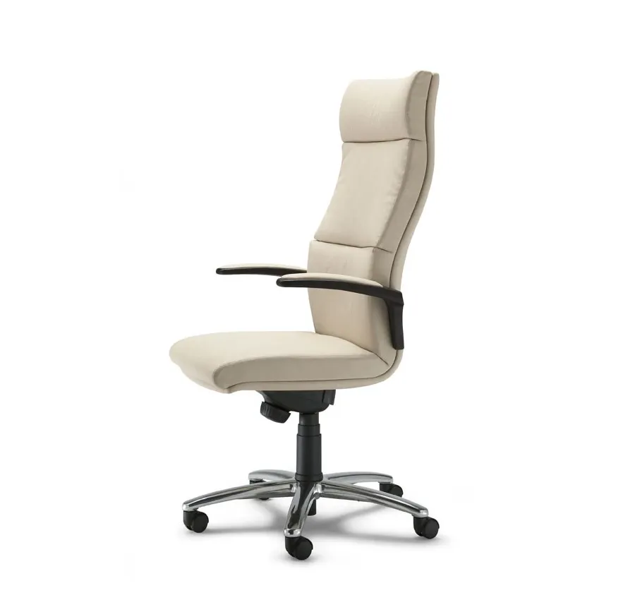 picture 1 Modern study chair - Bridge