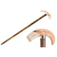 Picture A prestigious brown walking stick with a handle – an animal tusk – Pasotti