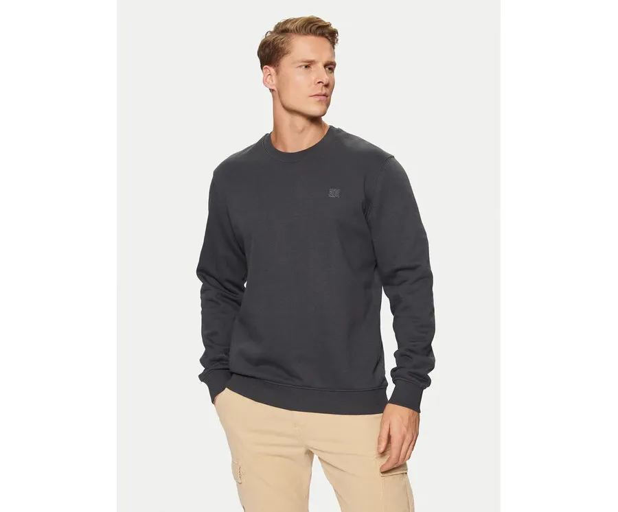 obrazek 1 s.Oliver Bluza 2150160 Szary Regular Fit