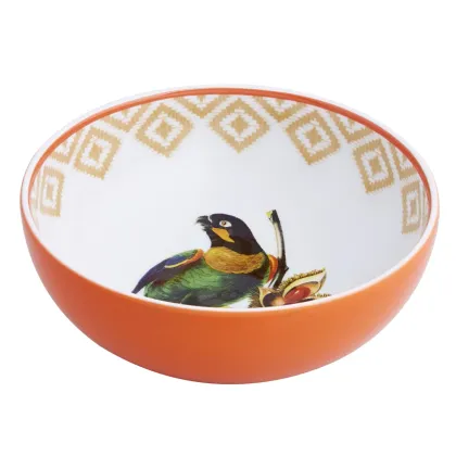 Zdjęcie Porcelanowa miska na płatki Olhar o Brasil z przedstawieniem ptaka - Vista Alegre