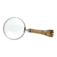 Picture Stylish magnifying glass with a unique handle