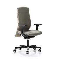 Picture A designer armchair for a study or office