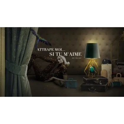 Picture An unusual table lamp with a jewel inside